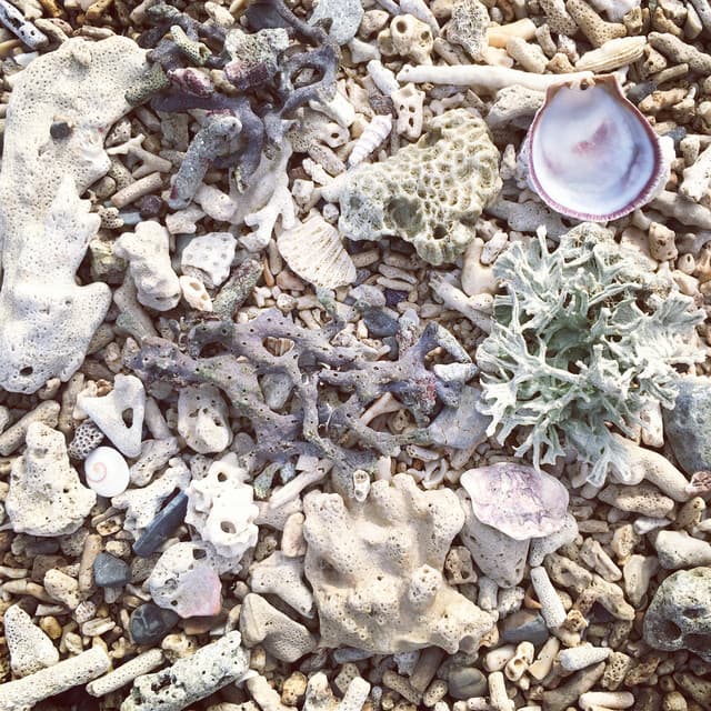 Ocean Sounds and Summer Vibes | Clarity, Sleep, Deep Sleep, Dreaming, Zen , Body and Soul - Spa Relaxation