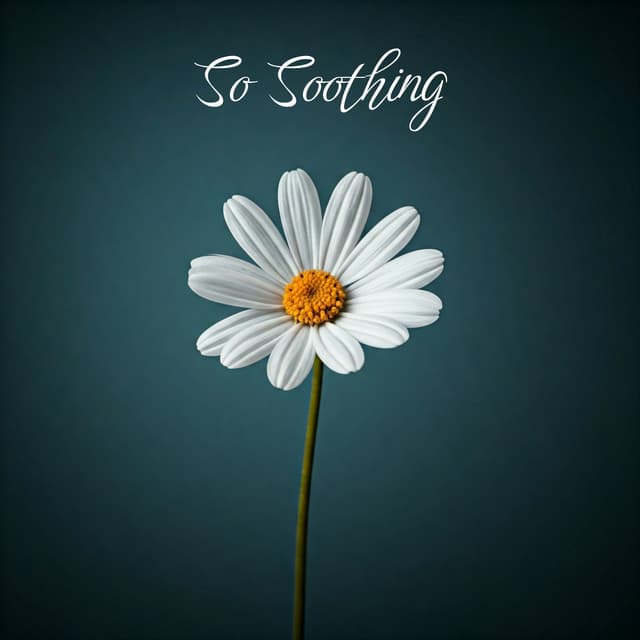 So Soothing: Stop Overthinking with Stress Relief Music - Billie Calmish