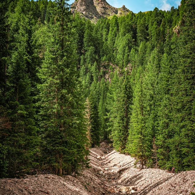 365 Skies: Below A Blue Sky - Nature Sound Collection