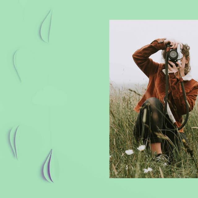 Music for Lovely illusions - Fine Dining Music