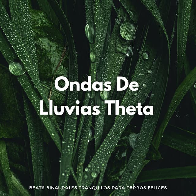Ondas De Lluvias Theta: Beats Binaurales Tranquilos Para Perros Felices - Latidos Binaurales Puros