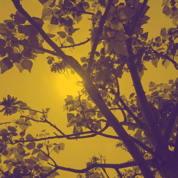 Lo-fi - Ambiance for Chill Out Time - Work at Home Lofi