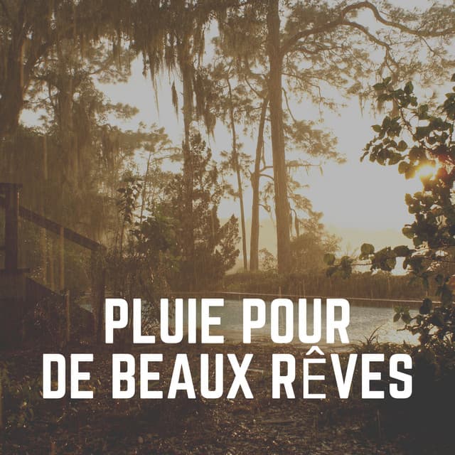 Pluie Pour de Beaux Rêves - Hi-Def FX
