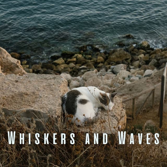 Whiskers and Waves: Ocean and Chill Sounds for Cats - The SubOceaners
