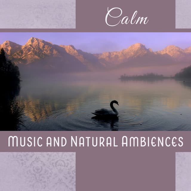 Calm - Soothing Music Specialists