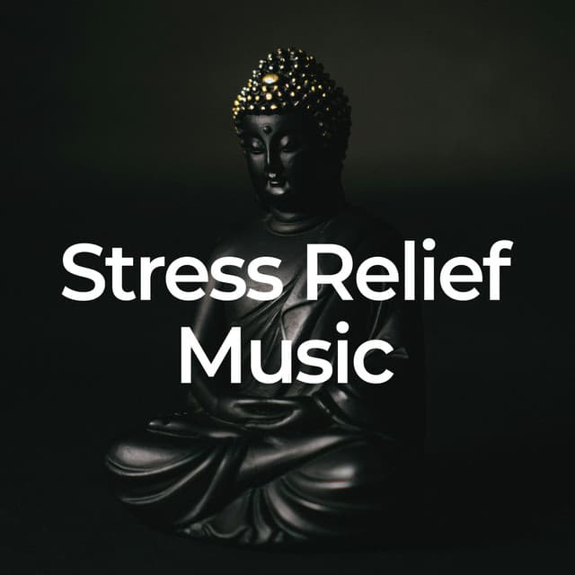 Stress Relief Music - Relieve Stress Music Academy