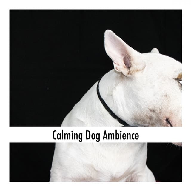 The Slow Unfolding - Clayton Calm