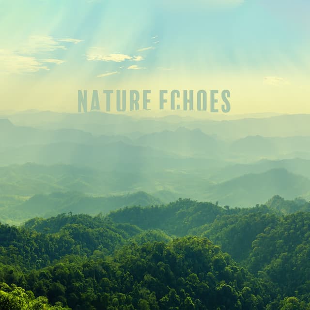 Nature Echoes: Forest Freshness, Lovely Songbirds, Calming Water, Soothing Green - Calm Nature Oasis