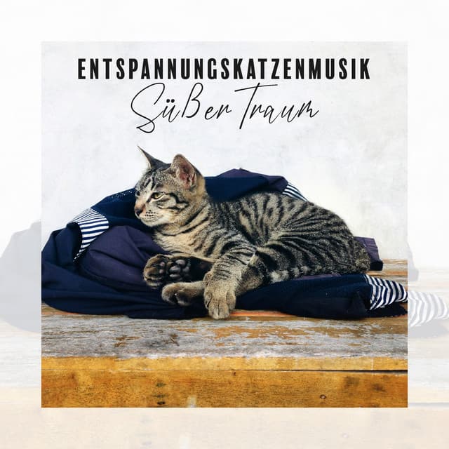 Entspannungskatzenmusik: Süßer Traum – Beruhigende Klänge für ruhigen Schlaf, Entspannung im Haus, Angstprobleme, Angst vor Lärm - Katzen Entspannungsmusik