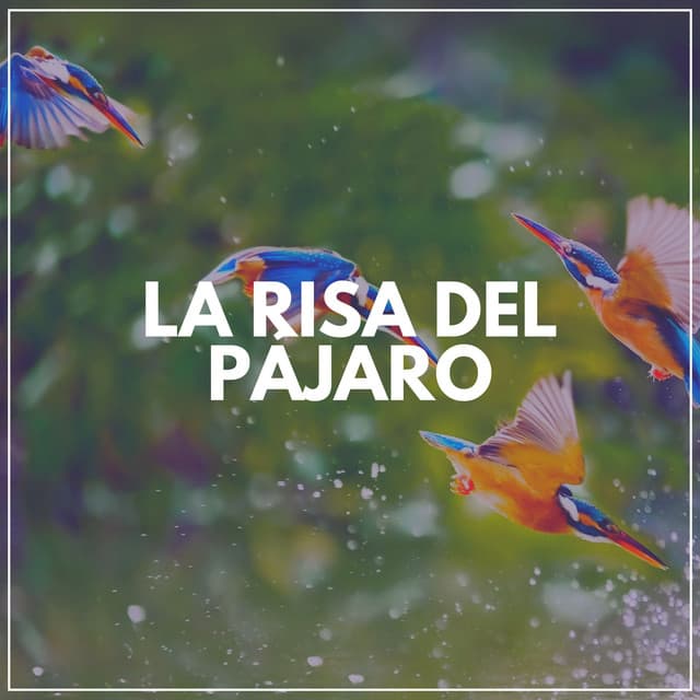 La Risa del Pájaro - Pájaros del Bosque