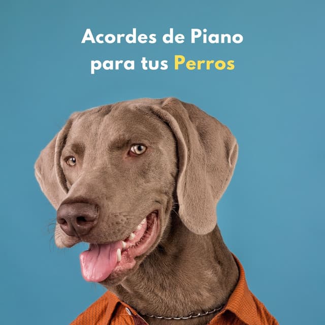 Acordes De Piano Para Tus Perros - Musicas de Piano Masters