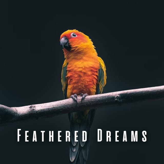 Feathered Dreams: Light Rain and Bird Sounds for Sleep - Stormy Dreams (Rain)