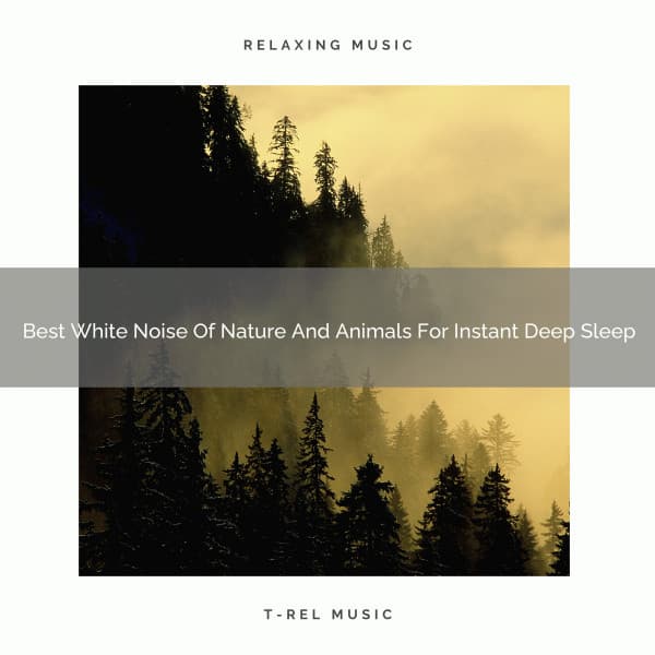 Best White Noise Of Nature And Animals For Instant Deep Sleep - Sleep Dimension