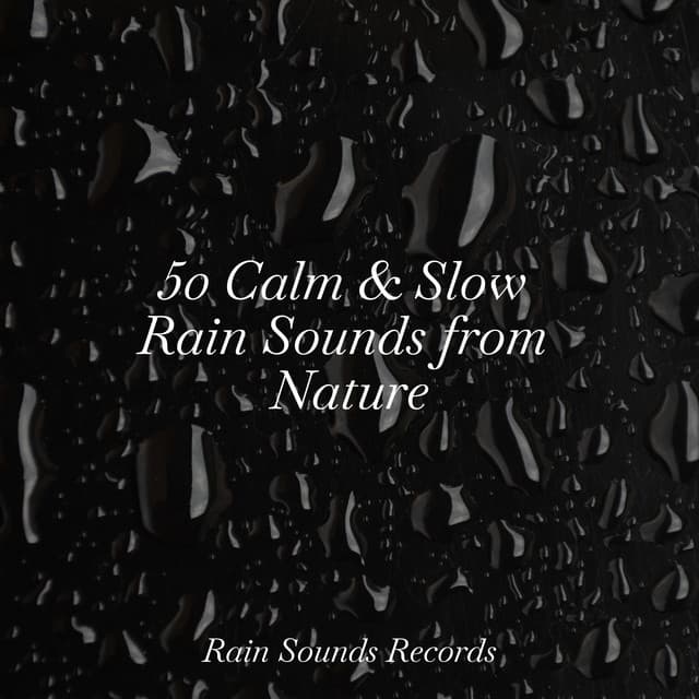 50 Calm & Slow Rain Sounds from Nature - Yoga