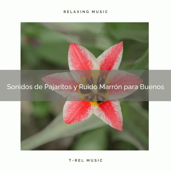 Sonidos de Pajaritos y Ruido Marrón para Buenos - Ruido Blanco
