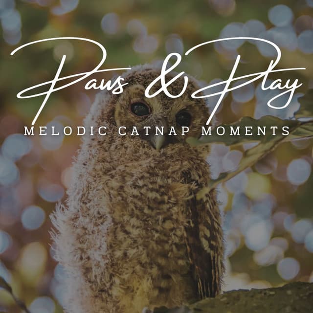 Paws & Play: Jazz Lounge Grooves for Pets - Soft Jazz Songs