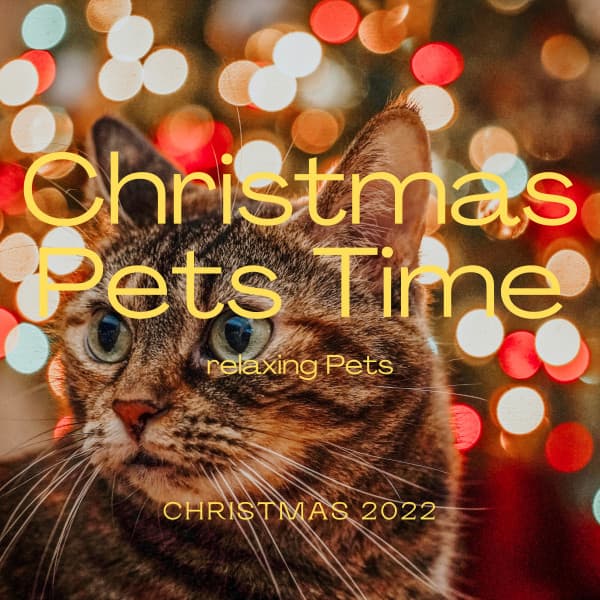 2022 Christmas Pets Time - Pets Total Relax