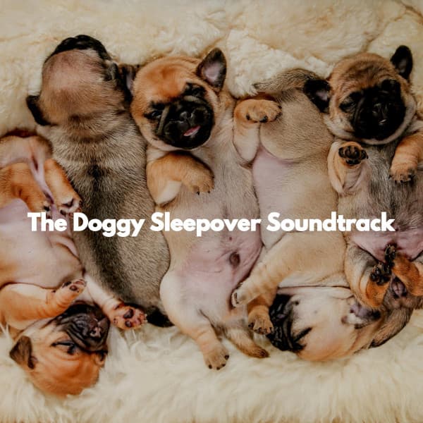 The Doggy Sleepover Soundtrack - Jazz for Work Classics