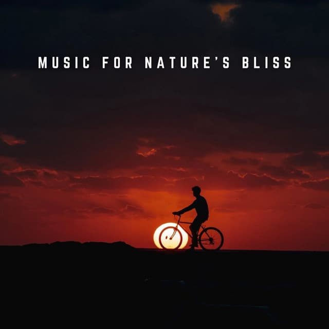 Music for Nature's Bliss: Waterfall Melodies - Waterfall White Noise