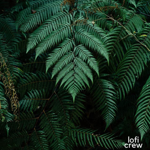 Relajación Jazzística - Office Time