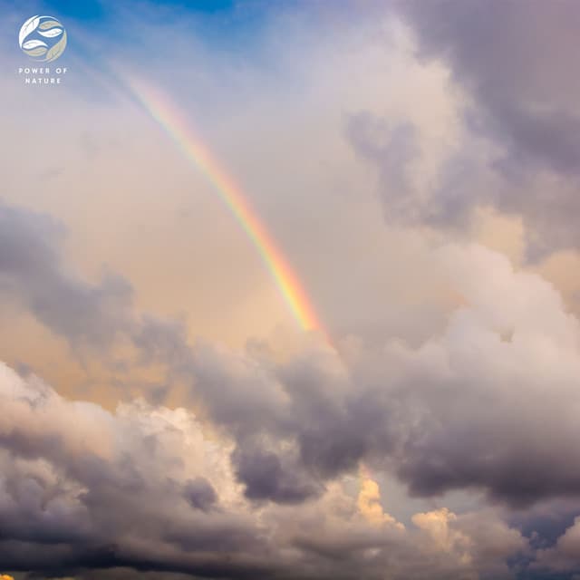 Luminous Piano - Tamera