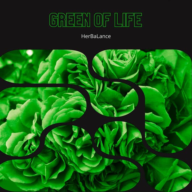 Green of Life: The Secret of Parsley - HerBaLance