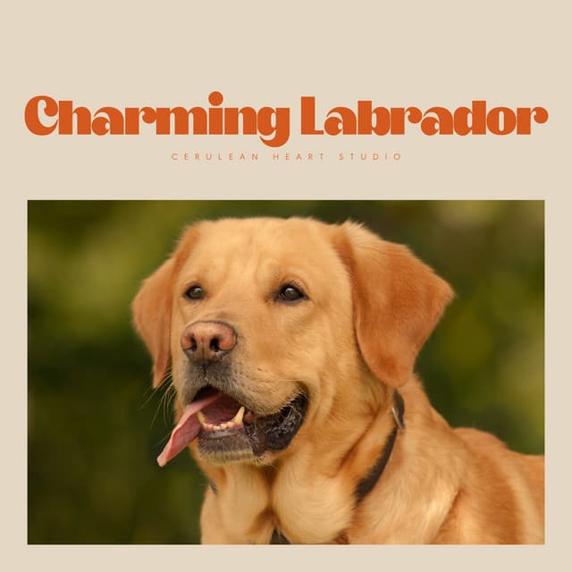 Charming Labrador - Dog Music Waves