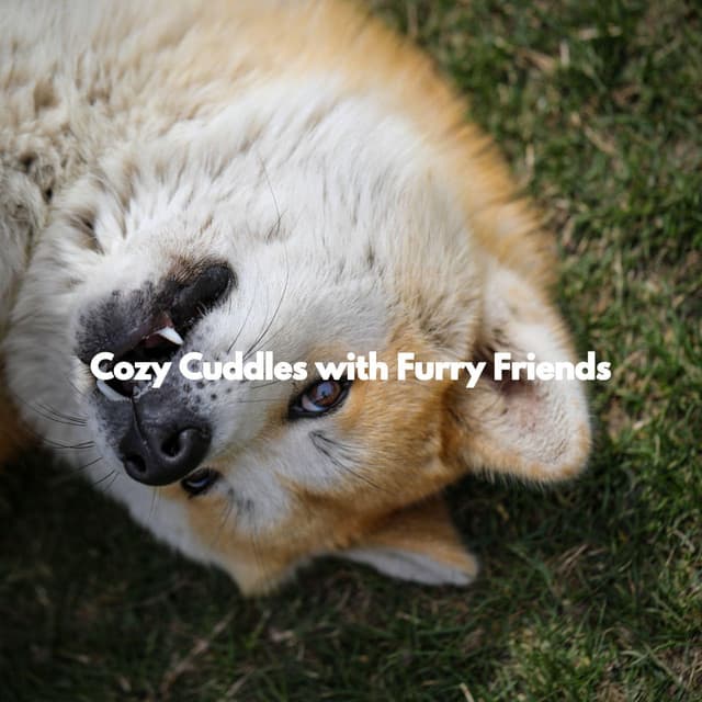 Cozy Cuddles with Furry Friends - Dog Music Zone