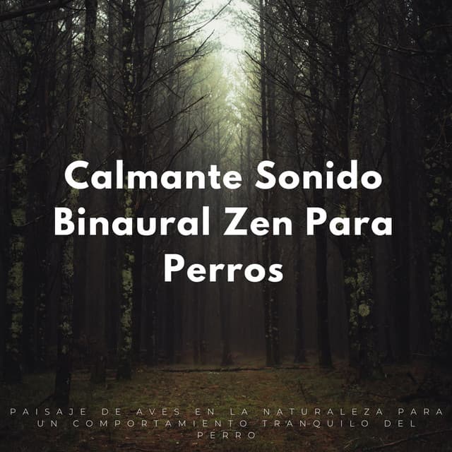Calmante Sonido Binaural Zen Para Perros: Paisaje De Aves En La Naturaleza Para Un Comportamiento Tranquilo Del Perro - Pájaros en la mañana
