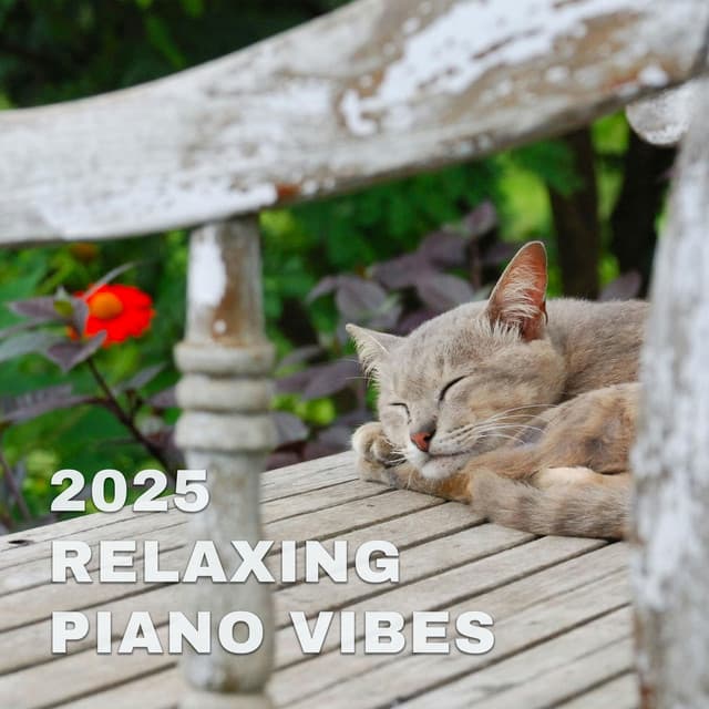 2025 Relaxing Piano Vibes - Johann Sebastian Bach