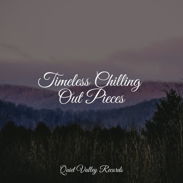 Timeless Chilling Out Pieces - Kinderlieder-Superstar