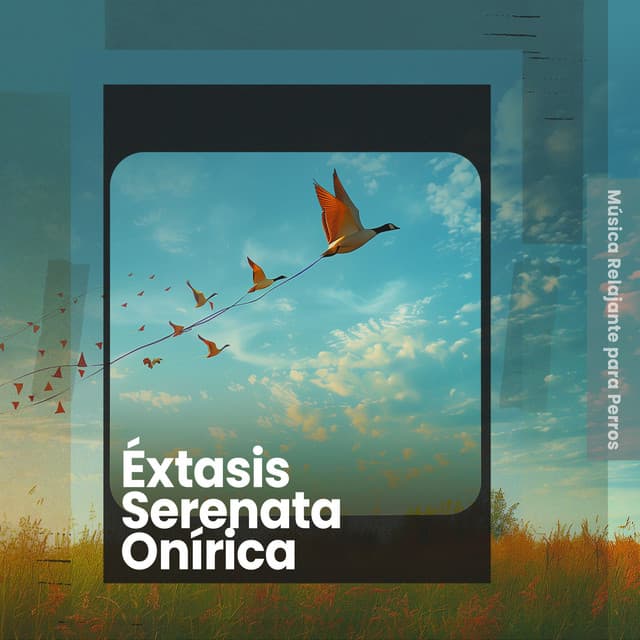 Éxtasis Serenata Onírica - Música Relajante para Perros