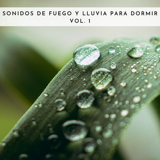 Sonidos De Fuego Y Lluvia Para Dormir Vol. 1 - Sonidos De Truenos y Lluvia
