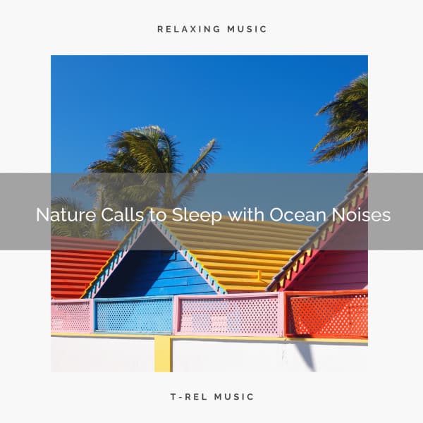 Nature Calls to Sleep with Ocean Noises - Música ambiental relajante