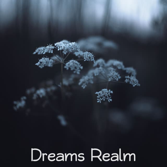 Dreams Realm - Meeresrauschen