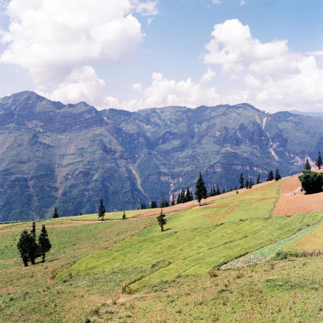 30 Day Earth: Whirls of Light - Yoga Music