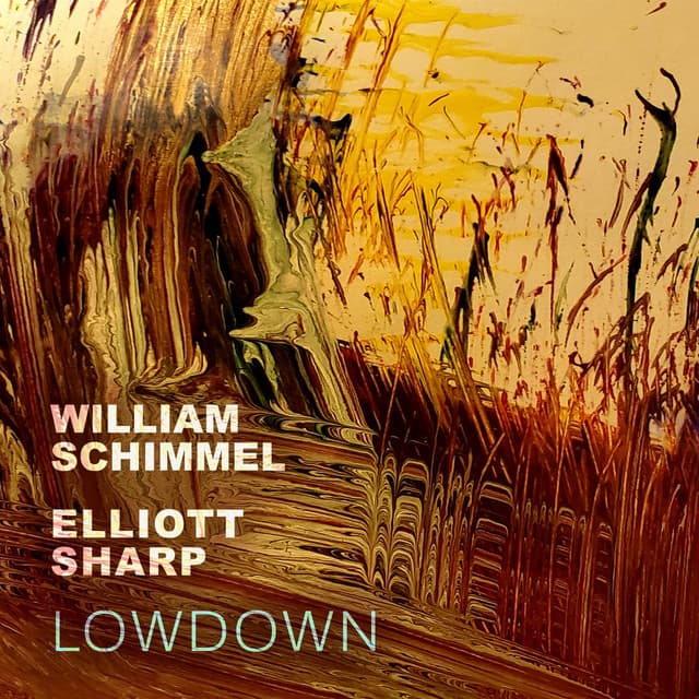 Lowdown - William Schimmel
