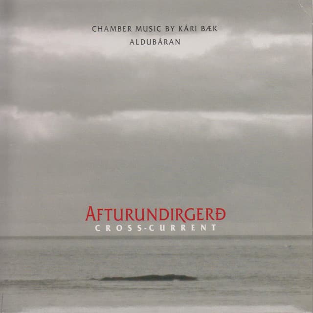 Afturundirgerð - Kári Bæk