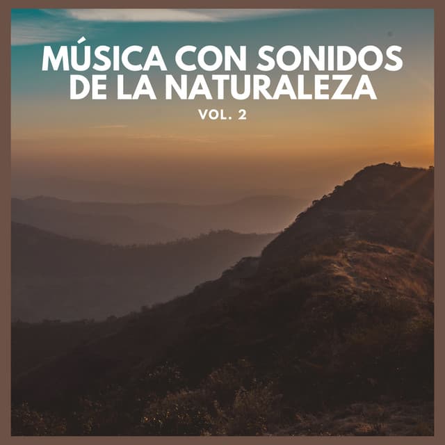 Música con Sonidos de La Naturaleza Vol. 2 - Lluvia Del Bosque