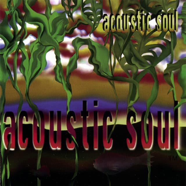 Acoustic Soul - Acoustic Soul