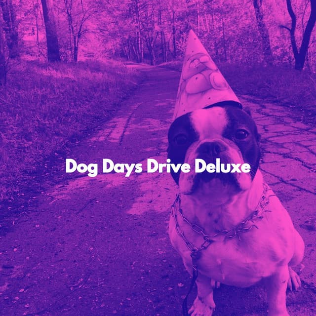 Dog Days Drive Deluxe - Japan Cafe BGM