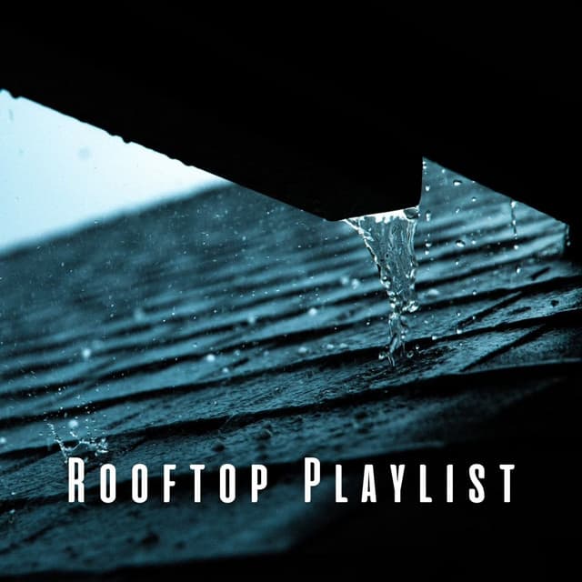 Rooftop Playlist: Rain on Roof Relaxation Melodies - Sound Of The Woods