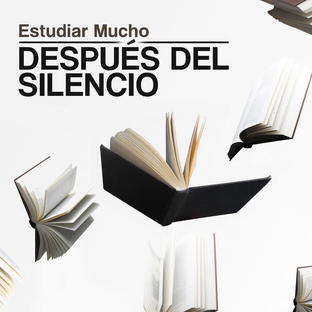 Después del Silencio - Estudiar Mucho