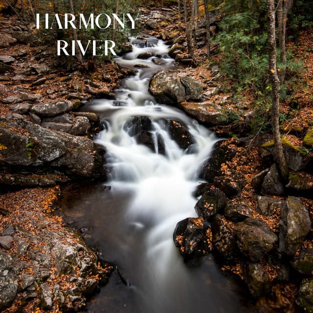 50 Relaxing Lullabies and Nursery Rhymes - Harmony River