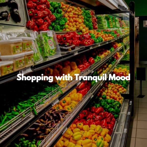 Shopping with Tranquil Mood - Hotel Lounge Soundtracks