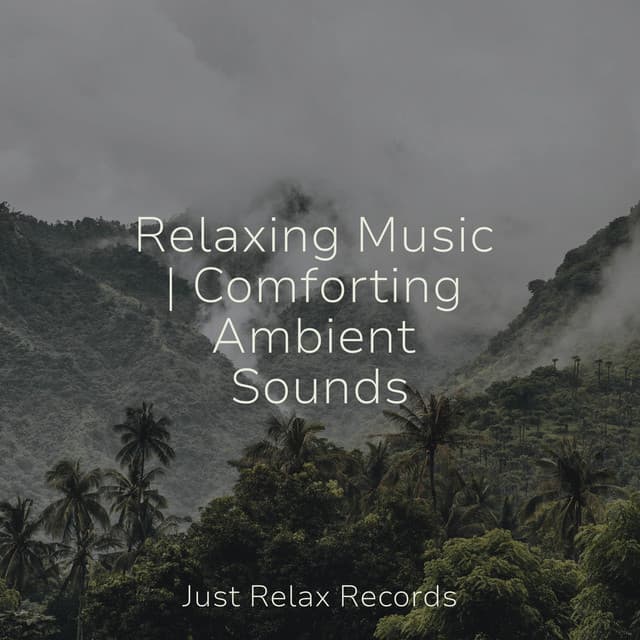 Relaxing Music | Comforting Ambient Sounds - Relaxing Mindfulness Meditation Relaxation Maestro