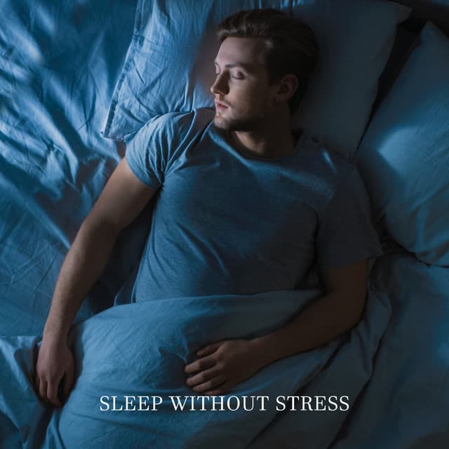 Sleep Without Stress: Quickly Fall Asleep with No Troubles - Insomnia Music Universe