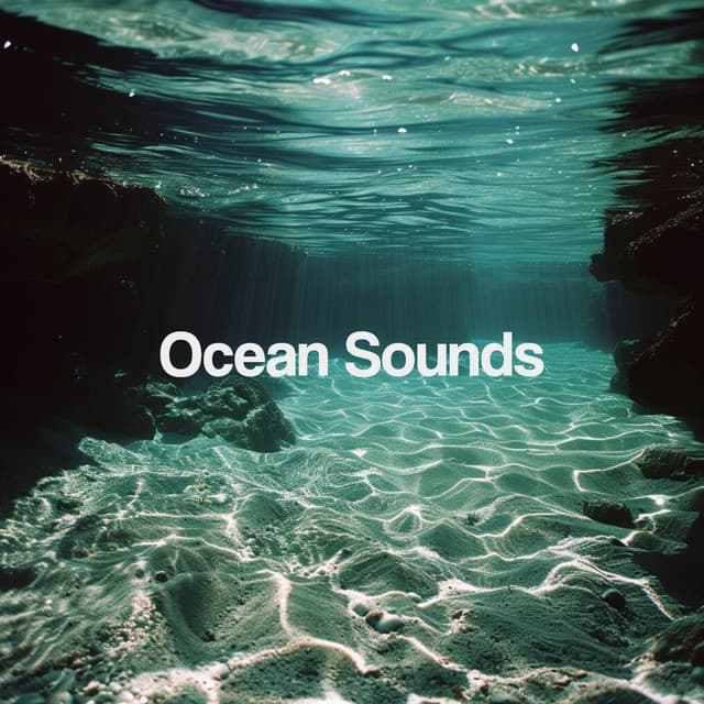 Ocean Sounds - Relajacion Del Mar