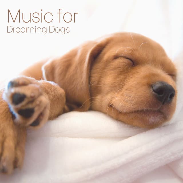 Music for Dreaming Dogs - Calming for Dogs