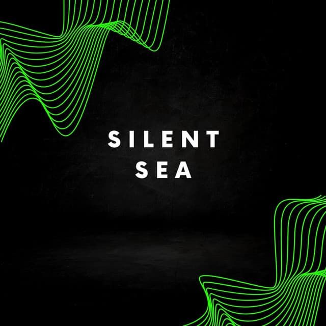 Silent sea - Gary Winter